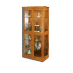 TROPHY DISPLAY CABINET - 2