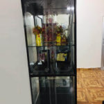 TROPHY DISPLAY CABINET - 4 (D)