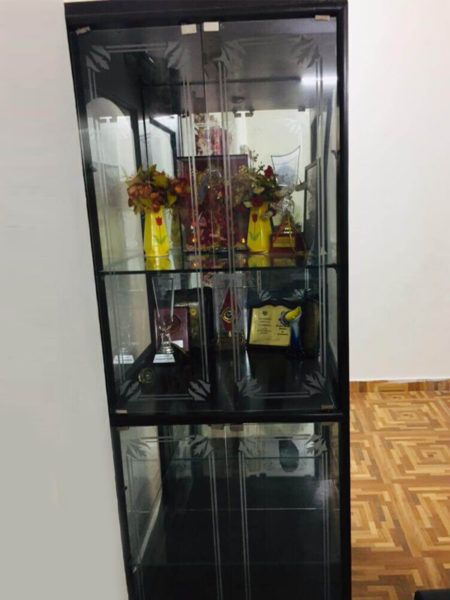 TROPHY DISPLAY CABINET - 4 (D)
