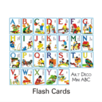 Flash Cards